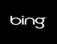 bing_google bing_google