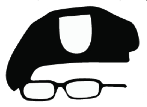 bradley-manning-graphic